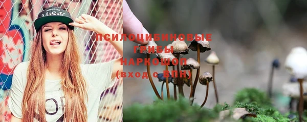 крисы Алексеевка