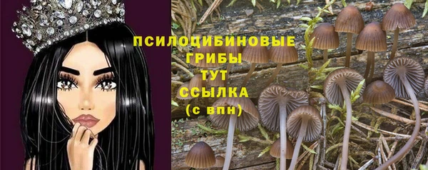 крисы Алексеевка
