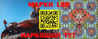 шишки Гудермес