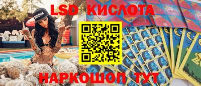 шишки Гудермес