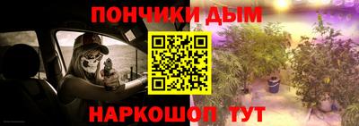 шишки Гудермес