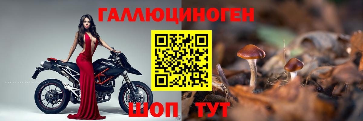 Евпатория  Псилоцибиновые грибы мицелий  Вход с VPN 